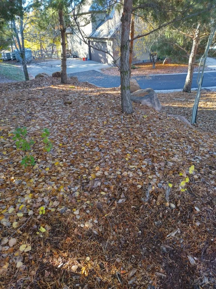 Affordable outdoor landscaping in Logan, UT by Cazares Lawn Care