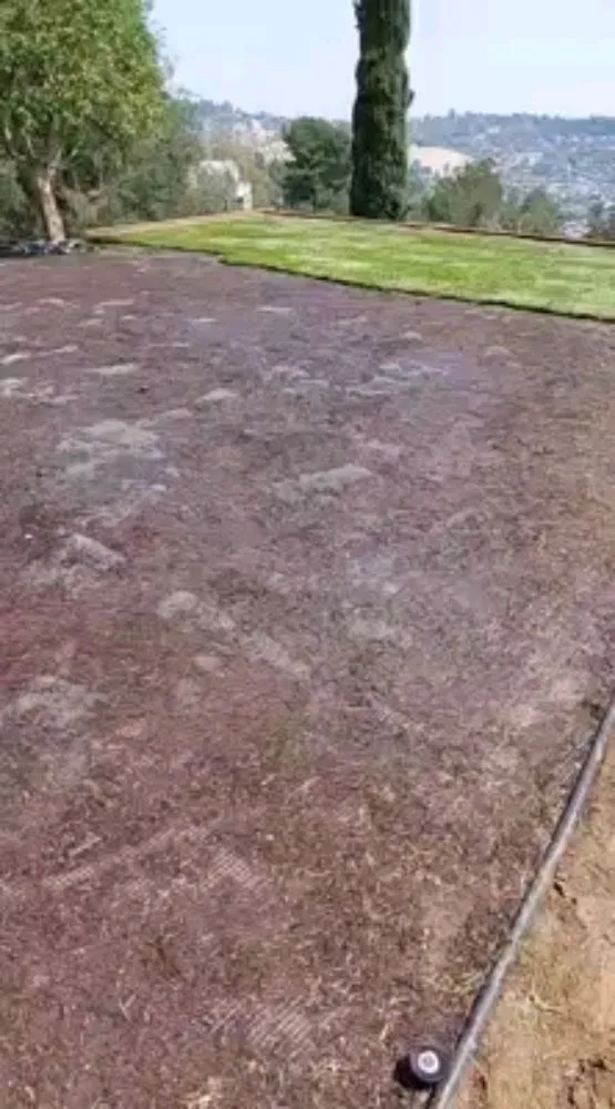 Affordable residential landscaping for beautiful yards across East Los Angeles, CA - Cazcam Landscaping Service