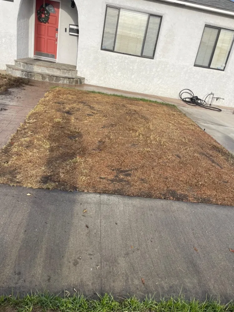 Reliable yard cleanup service in East Los Angeles, CA by Cazcam Landscaping Service