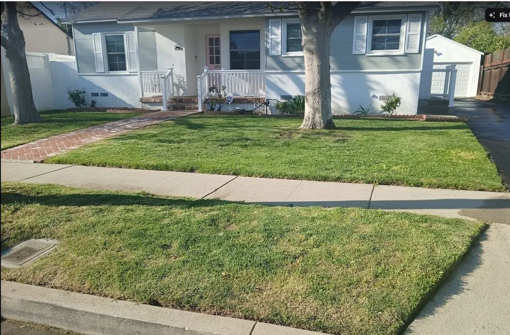 Professional landscape design in East Los Angeles, CA - Cazcam Landscaping Service