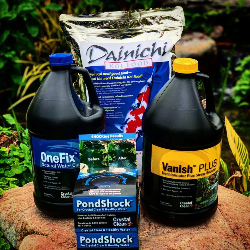 Expert yard cleanup service near you in Vail, AZ by Cazee Ponds