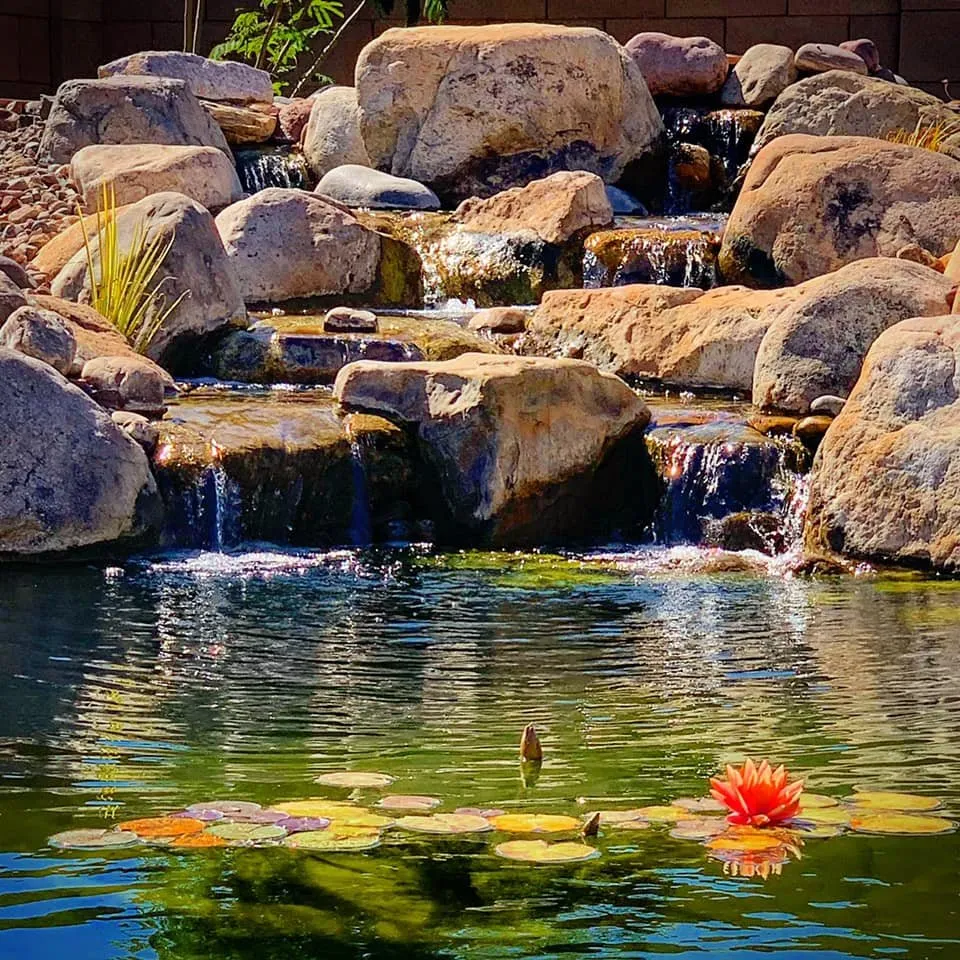 Professional landscape installation for outdoor upgrades in Vail, AZ by Cazee Ponds