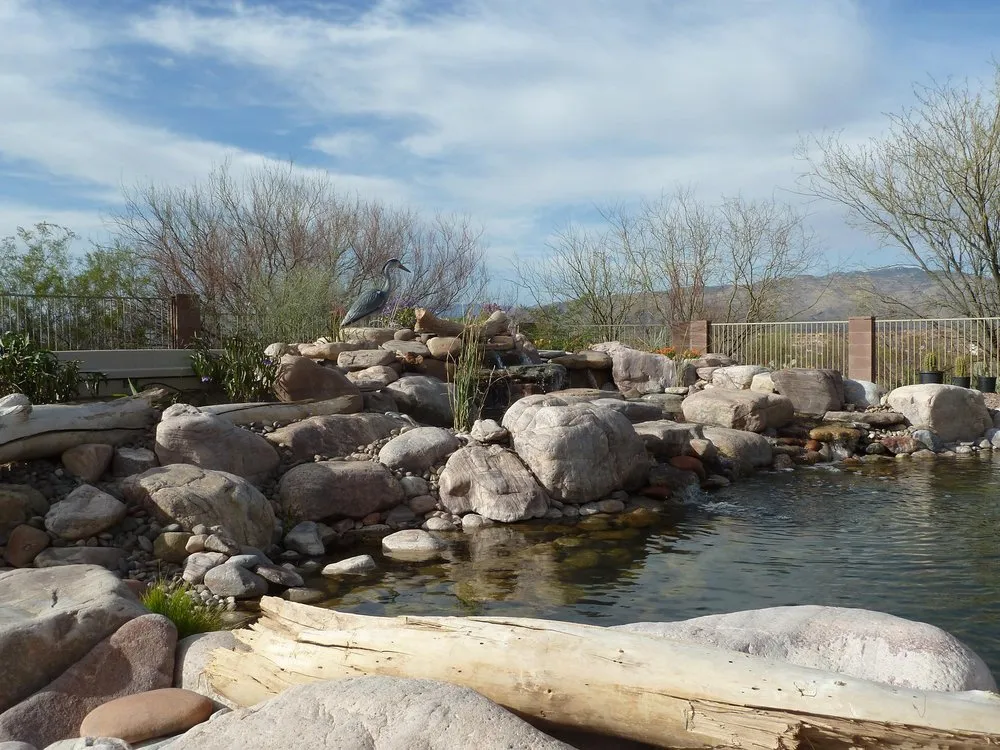 Trusted yard cleanup service experts serving Vail, AZ - Cazee Ponds