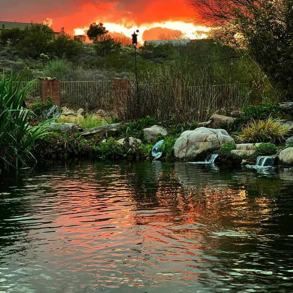 Custom lawn care service in Vail, AZ - Cazee Ponds