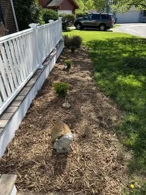 CB & Sons Property Maintenance