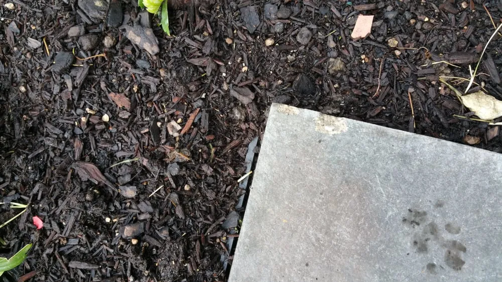 Reliable landscape design in Naperville, IL - CB Conlin Landscapes