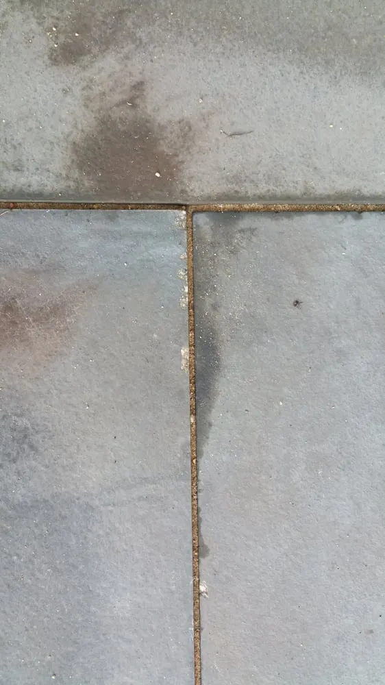 Trusted lawn care service for year-round maintenance in Naperville, IL by CB Conlin Landscapes