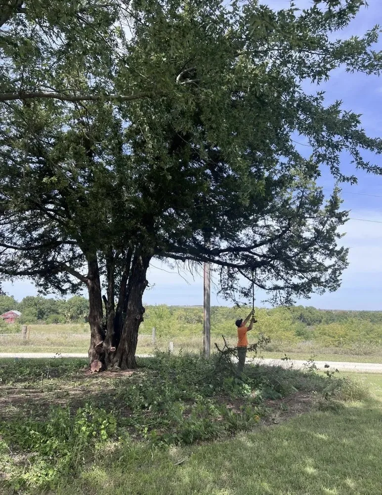 Reliable lawn care service in Auburn, KS - CB Demos