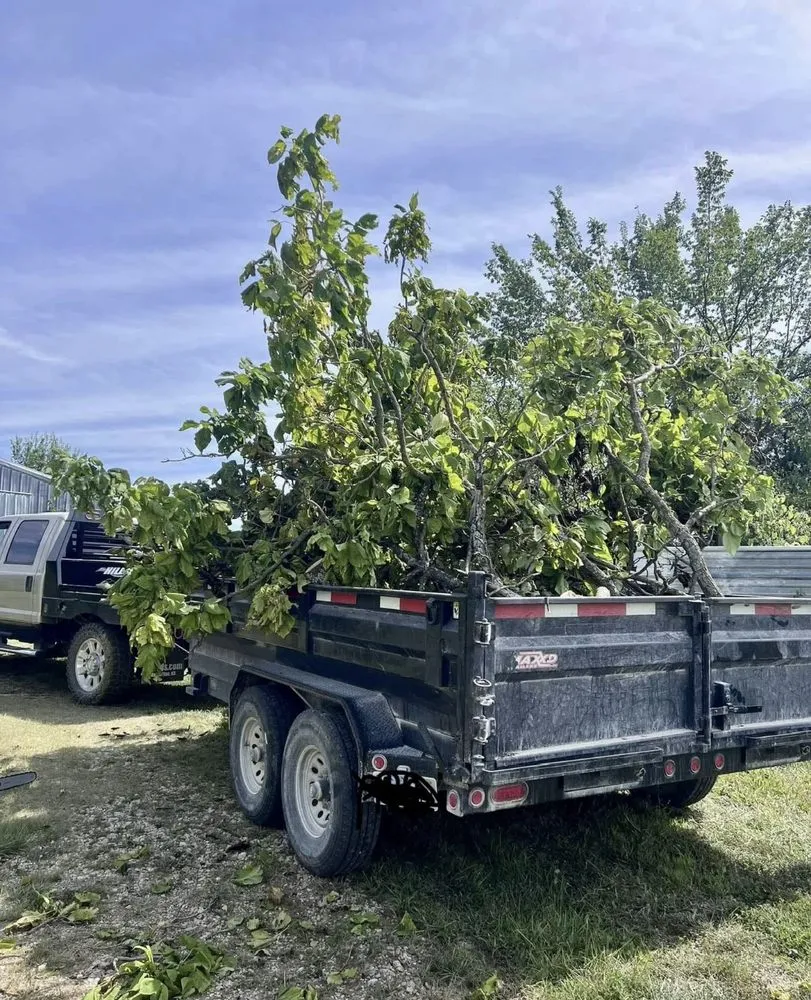Top-rated landscape installation for residential properties across Auburn, KS - CB Demos