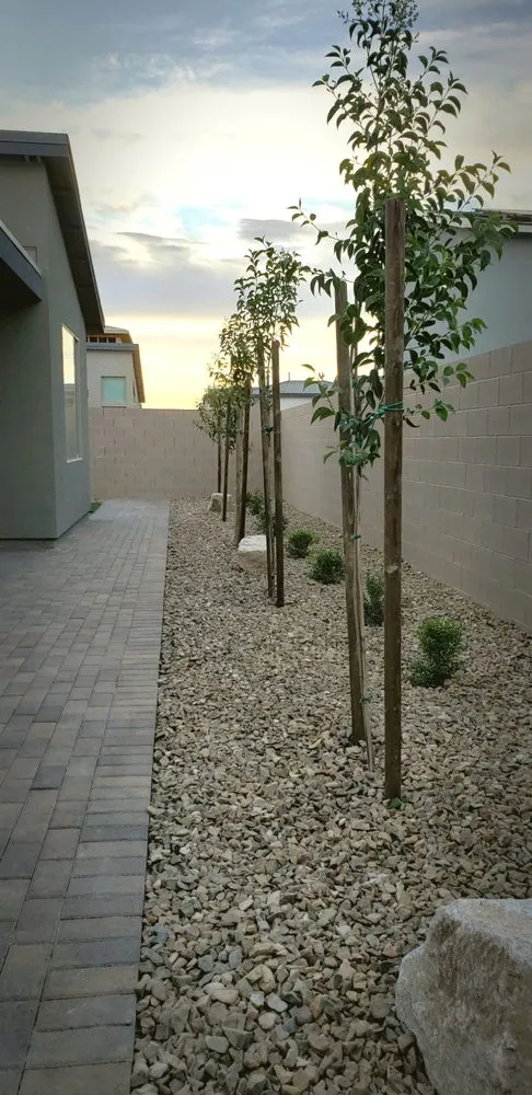 Top-rated lawn mowing service experts serving Las Vegas, NV - CB Desertscapes