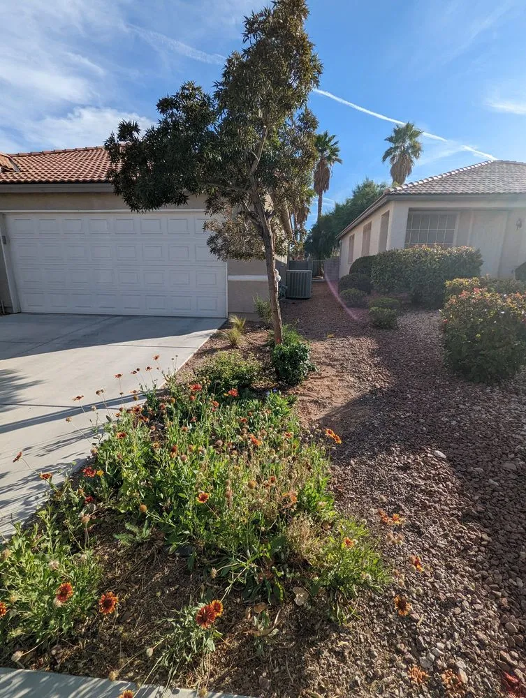 Trusted yard maintenance experts serving Las Vegas, NV - CB Desertscapes