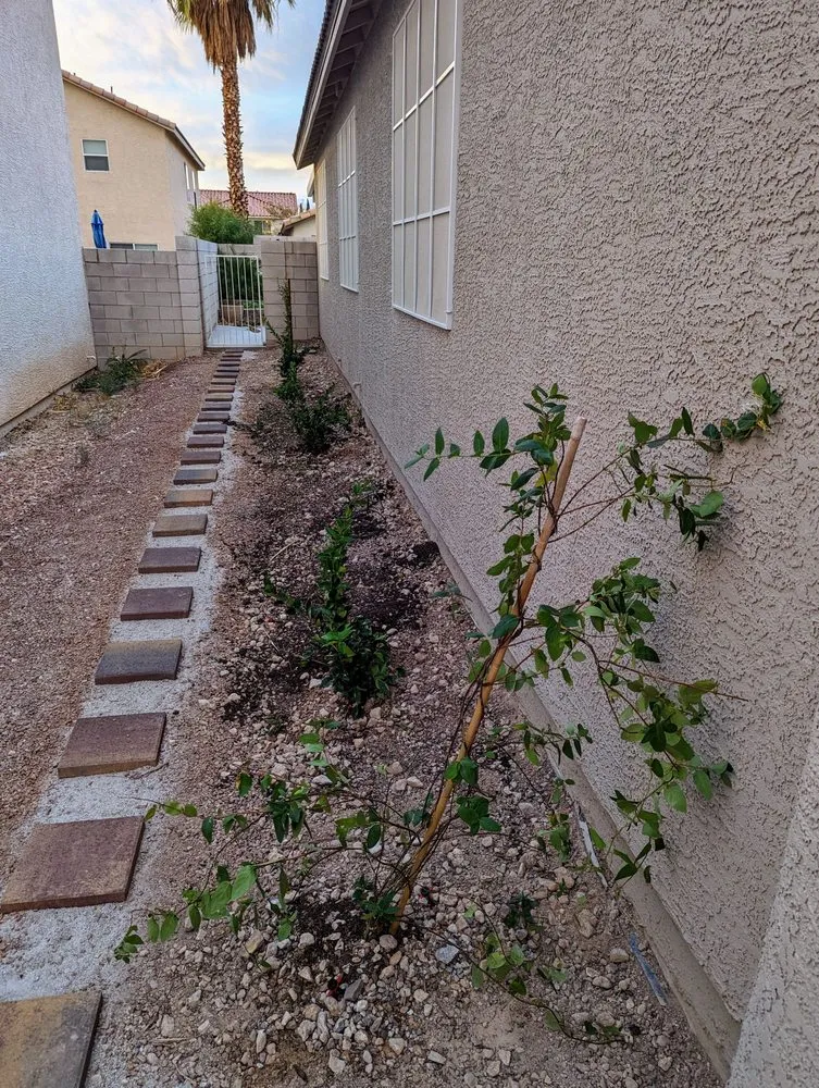 Reliable garden landscaping in Las Vegas, NV - CB Desertscapes