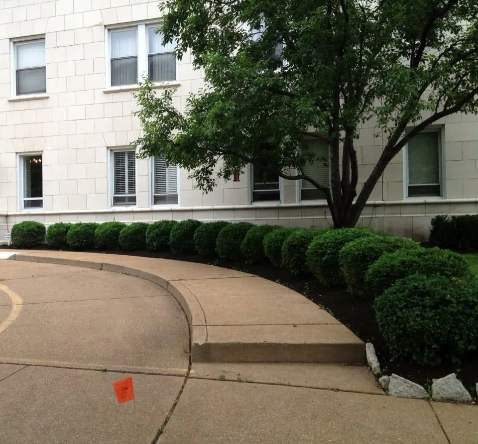 Affordable landscaping services in Kirkwood, MO - CB Home Improvement