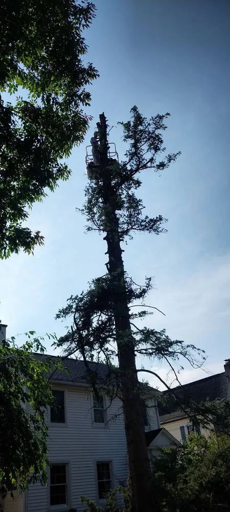 Local landscaping services experts serving Middlebury, IN - C&b Home Maintenance and Repairs