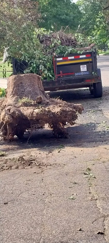 Professional garden landscaping experts serving Middlebury, IN - C&b Home Maintenance and Repairs