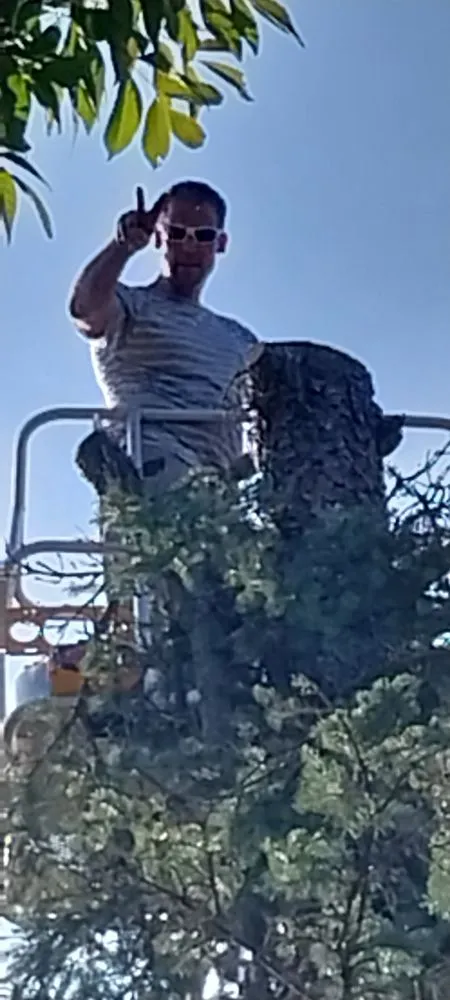 Expert yard cleanup service in Middlebury, IN - C&b Home Maintenance and Repairs