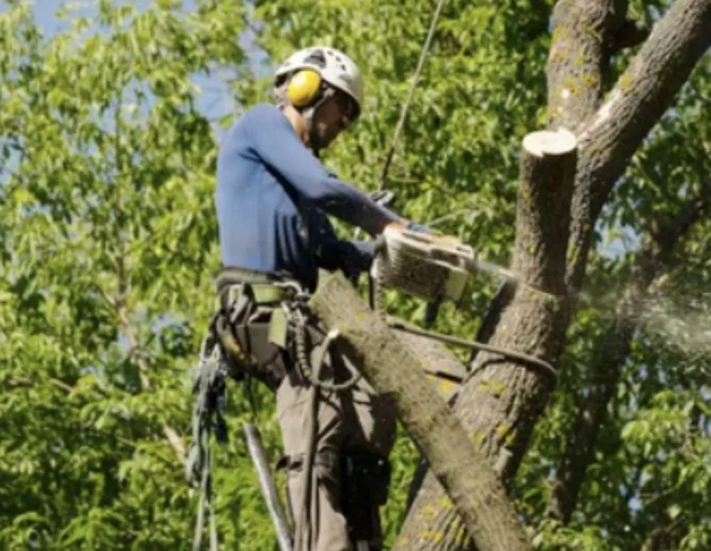 Trusted landscaping services experts serving Frederick, MD - CB Landscape And Paint