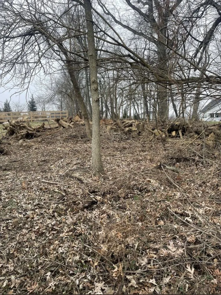 Trusted garden landscaping near you in Frederick, MD by CB Landscape And Paint