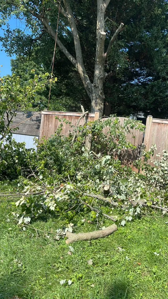 Expert garden landscaping for homes across Frederick, MD - CB Landscape And Paint