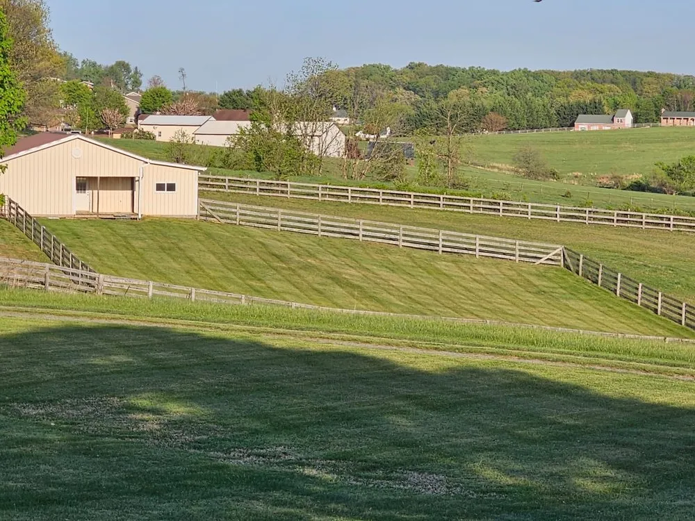 Trusted yard cleanup service for residential properties in Frederick, MD by CB Landscape And Paint
