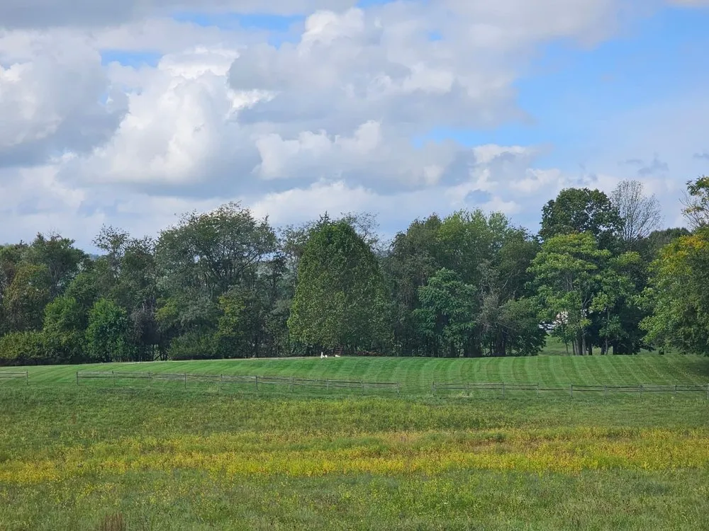 Affordable outdoor landscaping for residential properties across Frederick, MD - CB Landscape And Paint