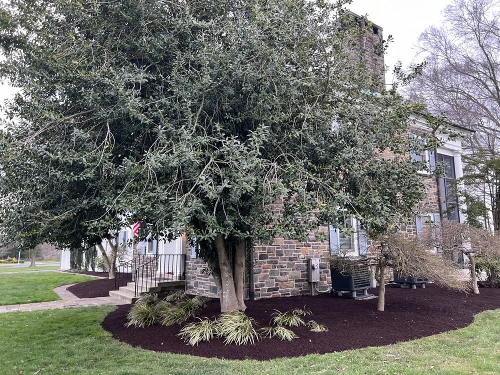 Professional outdoor landscaping in Bel Air, MD by C&B Landscape