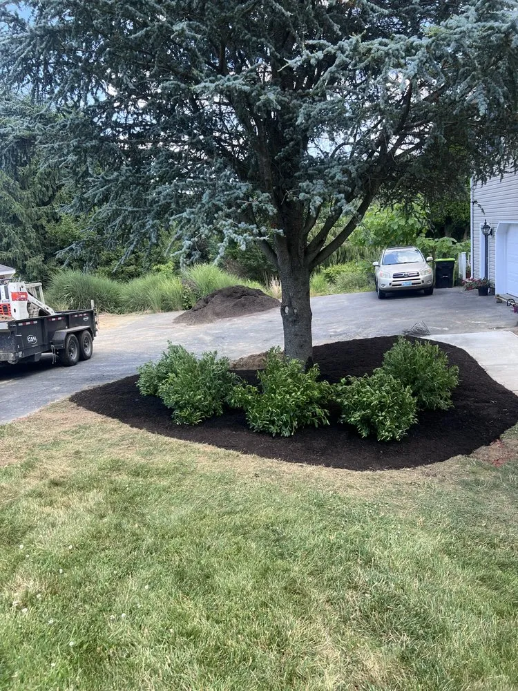 Local yard cleanup service in Bel Air, MD by C&B Landscape