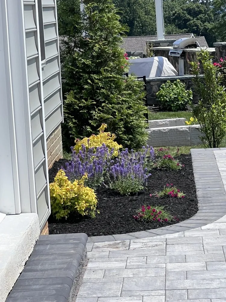 Affordable landscaping services for year-round maintenance in Bel Air, MD by C&B Landscape
