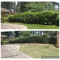 Expert landscape design with custom design in Grovetown, GA by C&B Landscape