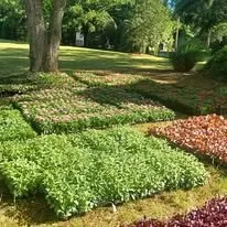 Professional outdoor landscaping with custom design in Grovetown, GA by C&B Landscape