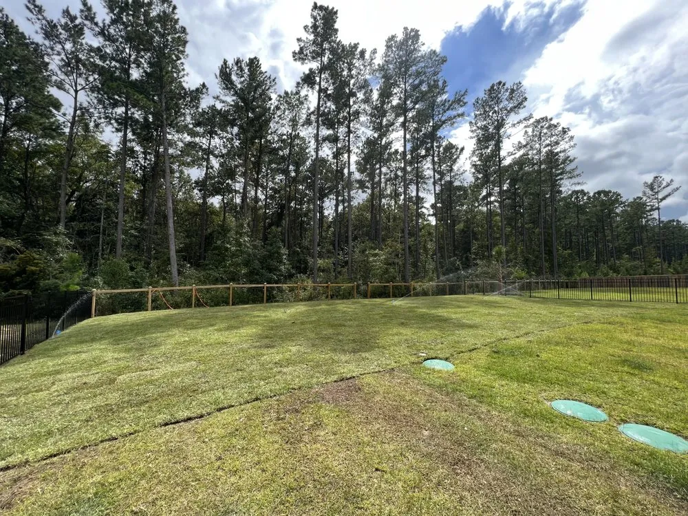 Expert yard cleanup service experts serving Mount Pleasant, SC - C&B Landscape