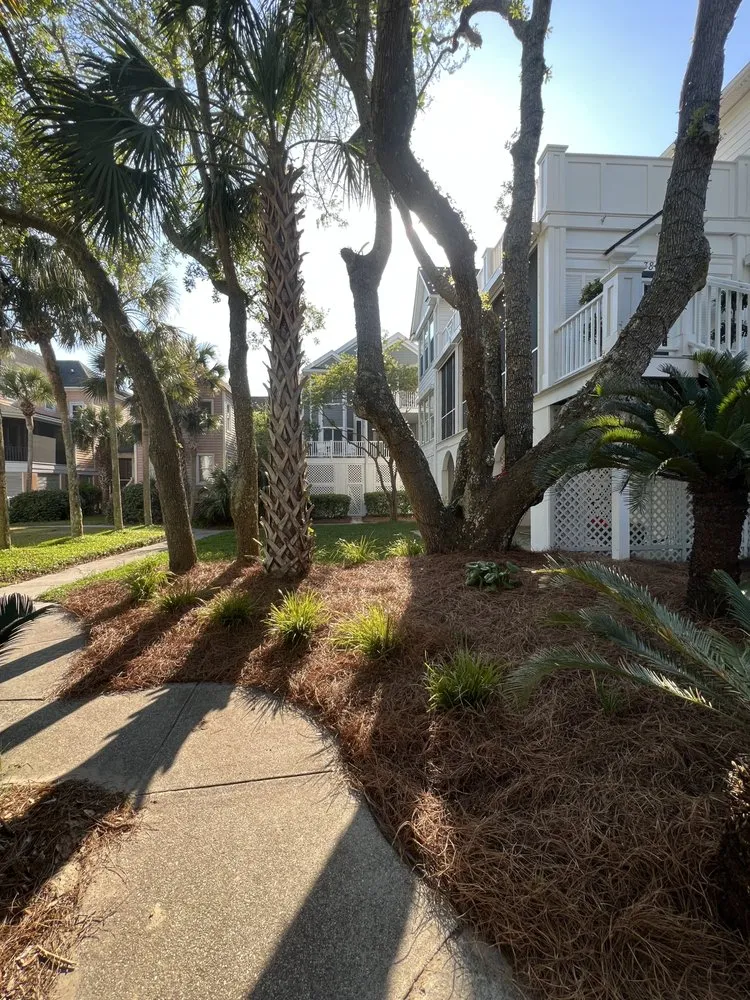Expert landscape installation for homes in Mount Pleasant, SC by C&B Landscape