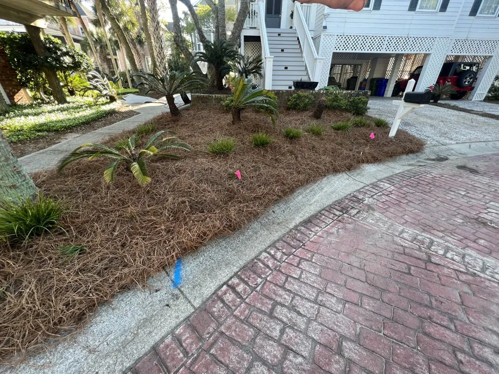 Reliable yard maintenance in Mount Pleasant, SC - C&B Landscape