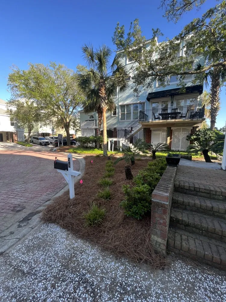 Affordable residential landscaping in Mount Pleasant, SC - C&B Landscape