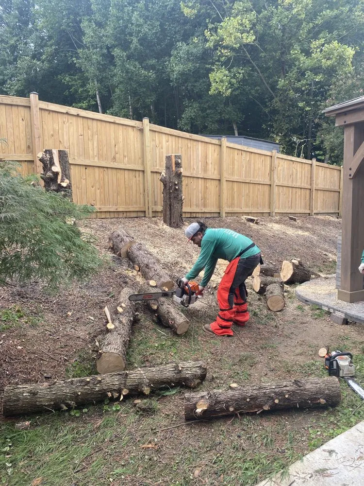 Professional landscaping services in Waldorf, MD - C&B Landscaping & Tree Service