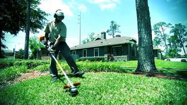 CB Landscaping And Tree Service Logo