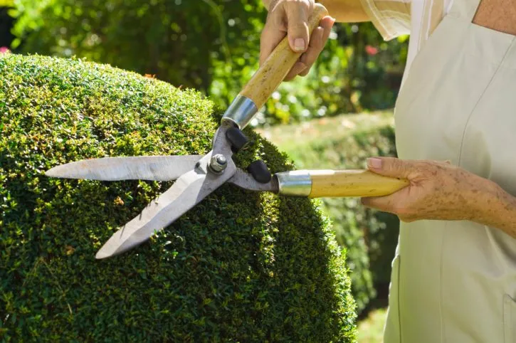 Professional lawn care service for beautiful yards in Fairview, OR by CB Landscaping Maintenance