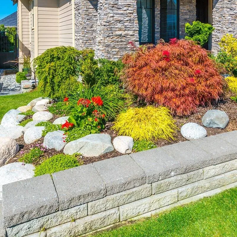 Expert lawn care service experts serving Fairview, OR - CB Landscaping Maintenance