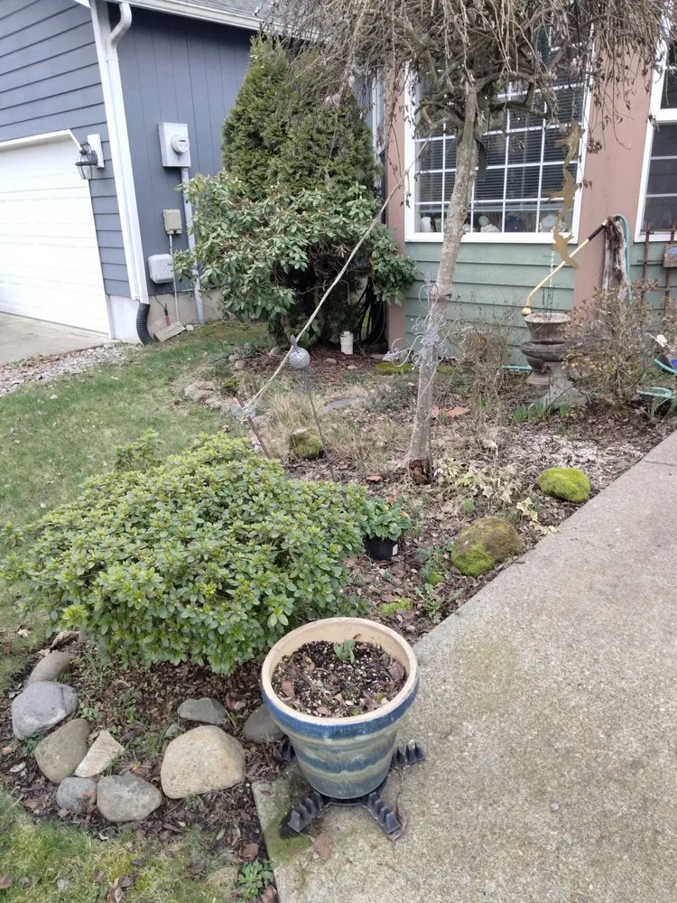 Top-rated lawn care service in Bonney Lake, WA - CB Lawn and Landscape