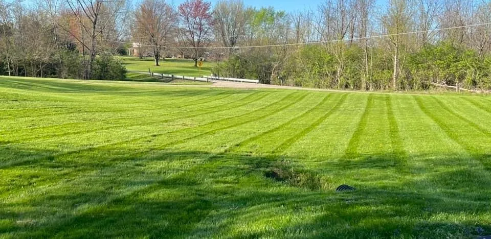 Affordable landscaping services in Pleasant Plain, OH - C&B Lawn and Services