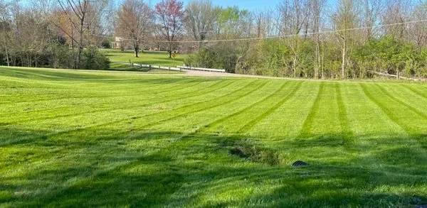 C&B Lawn and Services Logo