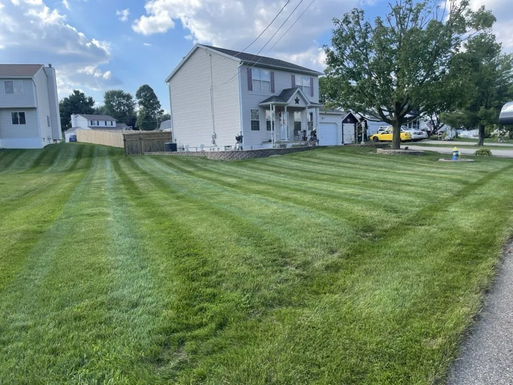 Custom yard cleanup service for year-round maintenance in East Canton, OH by CB Lawn Care & Snow Removal