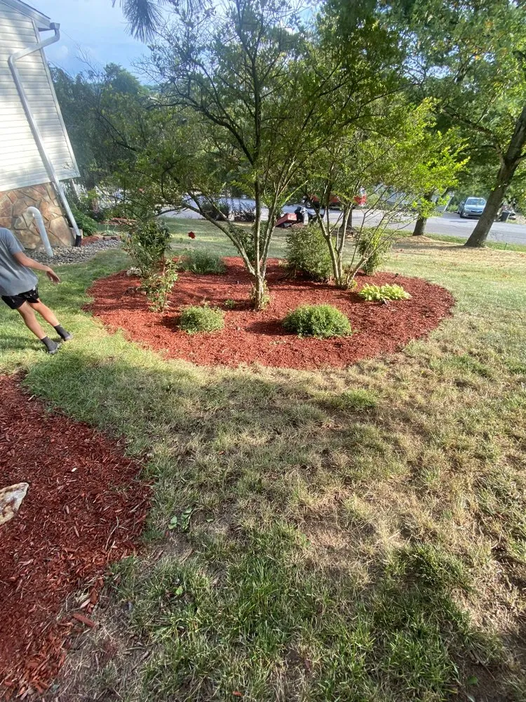 Affordable lawn care service in Wheeling, WV by CB Lawn Care