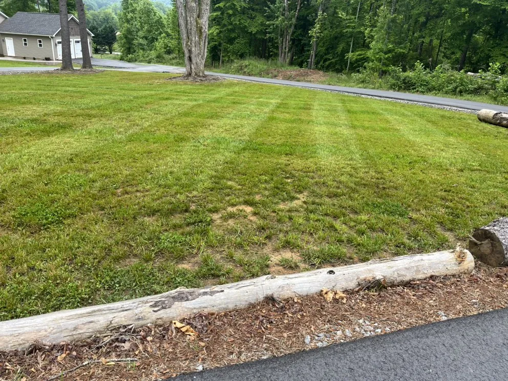 Custom yard cleanup service in Hendersonville, NC - CB Lawn Clean Up
