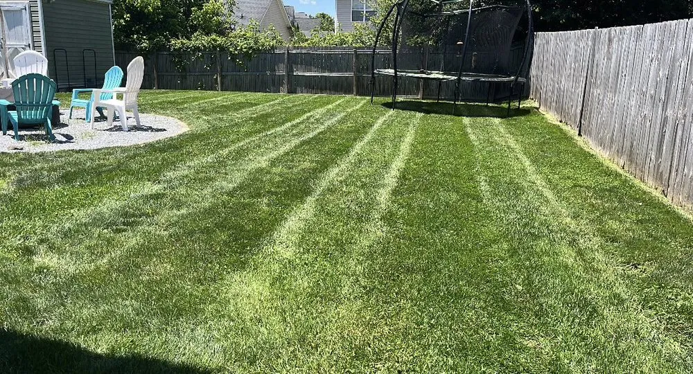 Professional lawn mowing service in Hendersonville, NC - CB Lawn Clean Up