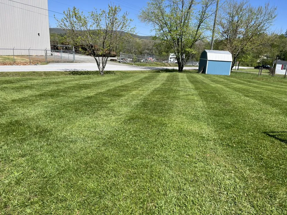 Local yard cleanup service in Hendersonville, NC by CB Lawn Clean Up