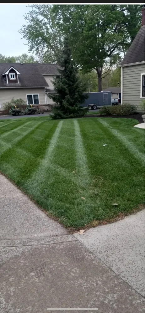 Local landscaping services experts serving Fairfax, VA - C&B Lawn Landscaping