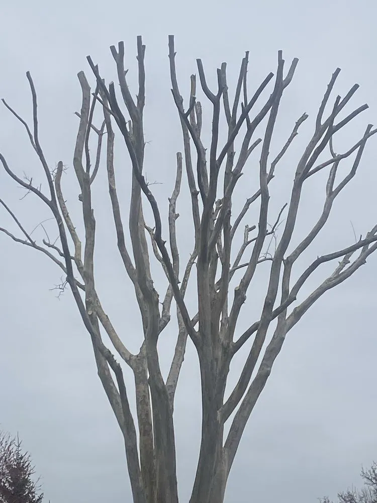 Professional garden landscaping in Fairfax, VA - C&B Lawn Landscaping