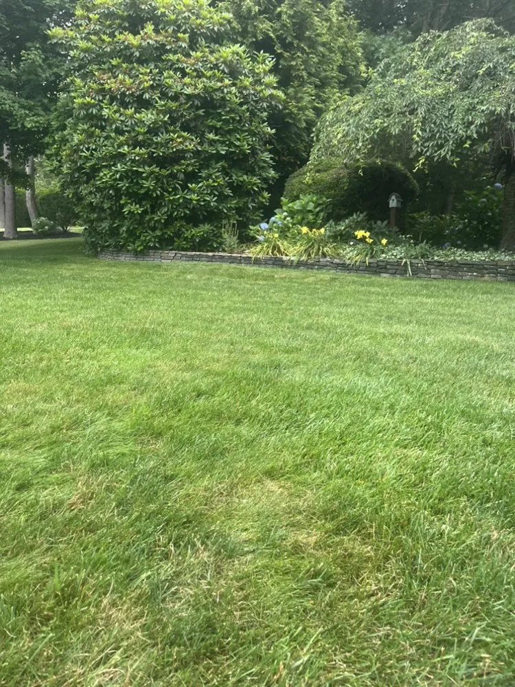 Affordable lawn care service with custom design across Lakeville, MA - CB Lawn Services