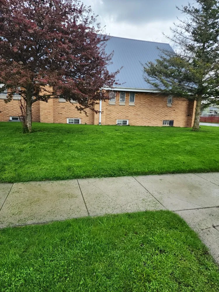 Reliable yard cleanup service in Sterling, MI - C&B Lawncare